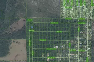 4817 Palm Rd, Sebring, FL 33875 - Photo 3