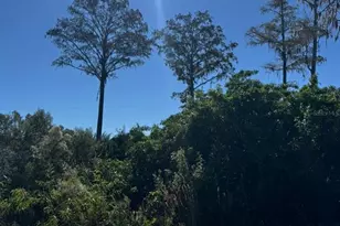 1450 Towton St SE, Palm Bay, FL 32909 - Photo 1