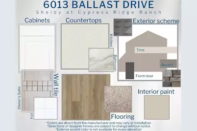 6013 Ballast Drive, Wimauma, FL 33598 - Photo 3