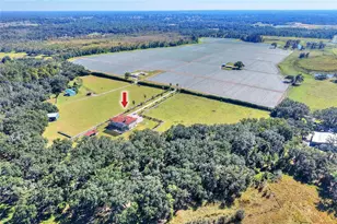 4215 Sb Merrion Rd, Lakeland, FL 33810 - Photo 87