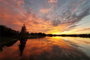 157 Lake Roy Dr, Winter Haven, FL 33884 - Photo 51