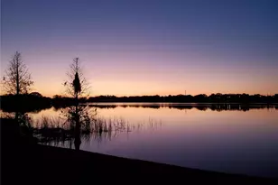 157 Lake Roy Dr, Winter Haven, FL 33884 - Photo 53