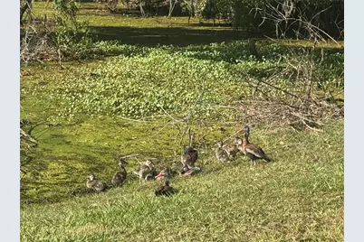 2600 Lucerne Park Road #514, Winter Haven, FL 33881 - Photo 33