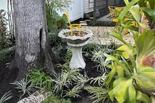 1406 Walden Oaks Pl, Plant City, FL 33563 - Photo 61