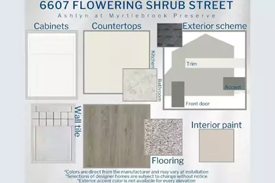 6607 Flowering Shrub Street, Lakeland, FL 33810 - Photo 3