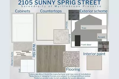 2105 Sunny Sprig Street, Lakeland, FL 33810 - Photo 3