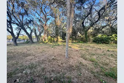 1516 Hawk Griffin Road, Plant City, FL 33563 - Photo 17