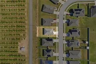 2001 Amber Sweet Cir, Dundee, FL 33838 - Photo 37