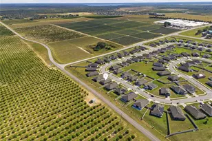 2001 Amber Sweet Cir, Dundee, FL 33838 - Photo 35