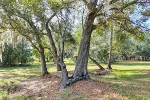 Island Way, Winter Haven, FL 33884 - Photo 9