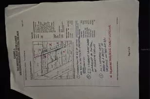 406 NW 7th St, Mulberry, FL 33860 - Photo 21