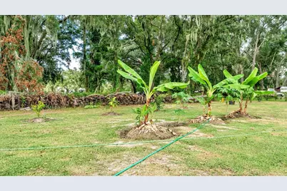 1193 Parker Road, Lakeland, FL 33811 - Photo 77