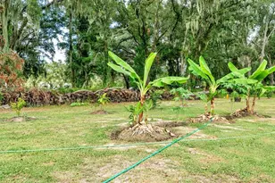 1193 Parker Rd, Lakeland, FL 33811 - Photo 77