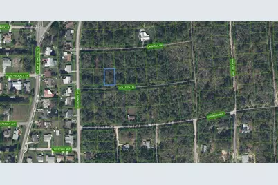 208 Coleen Lane, Lake Placid, FL 33852 - Photo 1