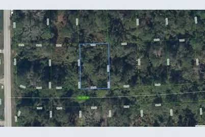 208 Coleen Lane, Lake Placid, FL 33852 - Photo 3