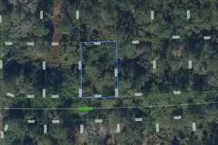 208 Coleen Ln, Lake Placid, FL 33852 - Photo 3