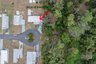 426 Martin Dr, Lakeland, FL 33809 - Photo 7