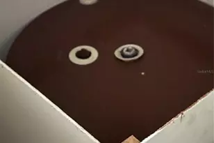 2055 S Floral Ave, Bartow, FL 33830 - Photo 35