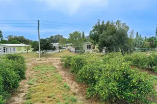 30 Saddlebag Trail N, Lake Wales, FL 33898 - Photo 31