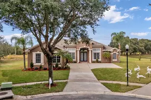 1210 Facet View Way, Valrico, FL 33594 - Photo 61