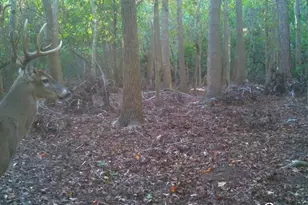 4125 Tiger Creek Trail, Lake Wales, FL 33898 - Photo 63