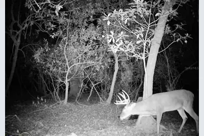 4125 Tiger Creek Trl, Lake Wales, FL 33898 - Photo 59