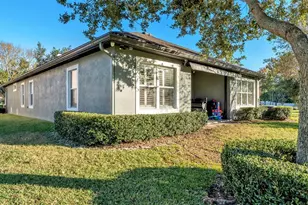 6247 Hawk Grove Ct, Wesley Chapel, FL 33545 - Photo 5