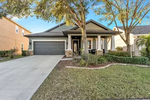 6247 Hawk Grove Ct, Wesley Chapel, FL 33545 - Photo 3