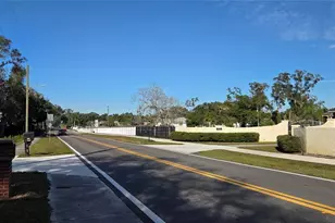 1702 S Miller Rd, Valrico, FL 33594 - Photo 59