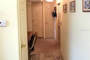 2020 Thelma Dr, Lake Alfred, FL 33850 - Photo 25