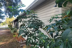 2020 Thelma Dr, Lake Alfred, FL 33850 - Photo 11