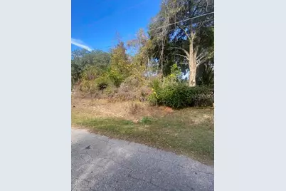 0 SE 143 Ln, Summerfield, FL 34491 - Photo 5