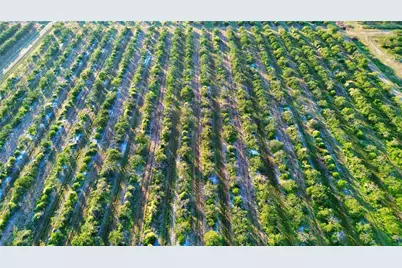 2233 Hicks Road, Lorida, FL 33857 - Photo 3