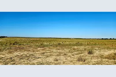 Dog Yard Road, Lake Wales, FL 33898 - Photo 5