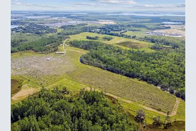 0 St Rd 557, Lake Alfred, FL 33850 - Photo 15