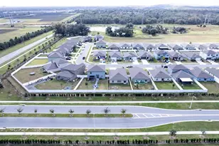 2933 Flying Blackbird Rd, Bartow, FL 33830 - Photo 41