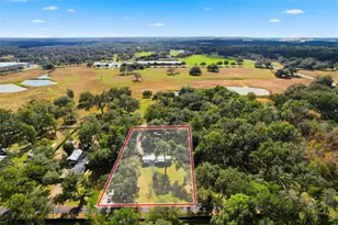 37644 Oak Forrest Dr, Dade City, FL 33523 - Photo 3