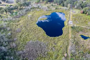 4305 Old Bartow Eagle Lake Rd, Bartow, FL 33830 - Photo 59