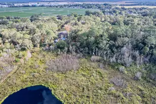 4305 Old Bartow Eagle Lake Rd, Bartow, FL 33830 - Photo 65