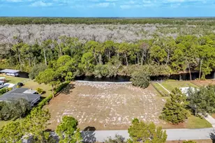 1100 Sycamore St, Lake Placid, FL 33852 - Photo 3