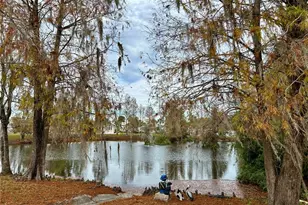 4625 W Palm Dr, Bowling Green, FL 33834 - Photo 35