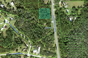 Commonwealth Ave N, Polk City, FL 33868 - Photo 1