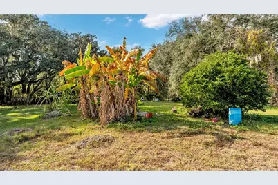 23 Violet Street, Plant City, FL 33563 - Photo 5