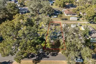 1903 N Lime St, Plant City, FL 33563 - Photo 47