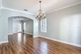 3119 Santorini Ct, Tampa, FL 33611 - Photo 23