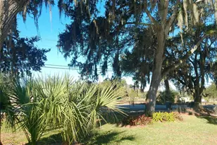 2115 Bailey Rd, Mulberry, FL 33860 - Photo 31