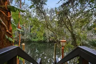 4703 Rambling River Rd, Brandon, FL 33511 - Photo 57