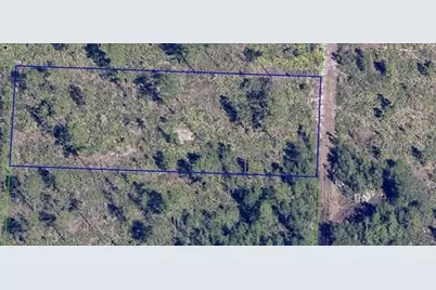 Dill Road, Orlando, FL 32820 - Photo 5