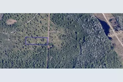 Dill Road, Orlando, FL 32820 - Photo 7