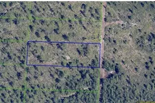 Dill Rd, Orlando, FL 32820 - Photo 1